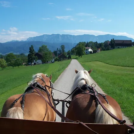 Gasthofladen Schneeweiss Attersee