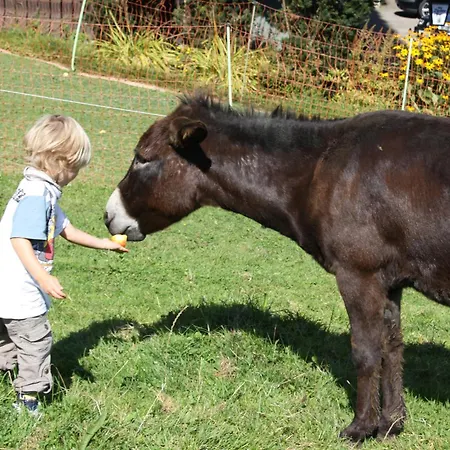 Gasthofladen Schneeweiss 酒店 Attersee