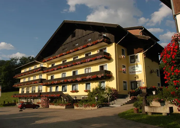 Gasthofladen Schneeweiss 3*