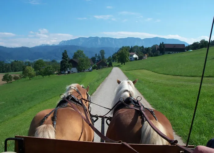 Gasthofladen Schneeweiss Attersee