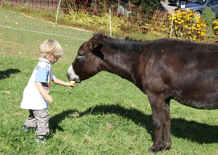 Gasthofladen Schneeweiss Otel Attersee