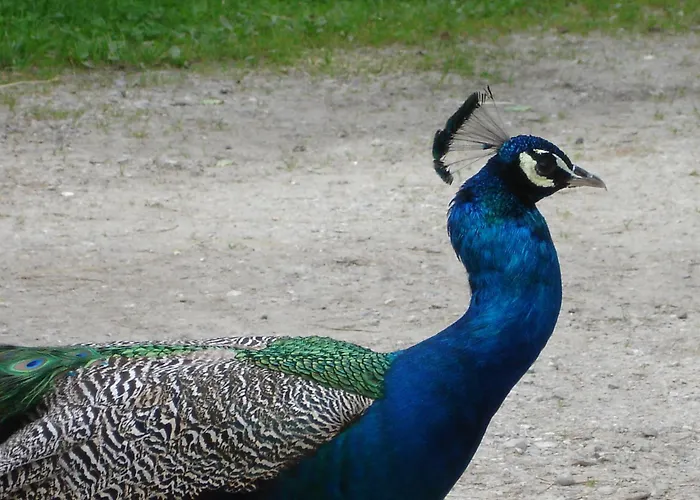 Gasthofladen Schneeweiss 3*