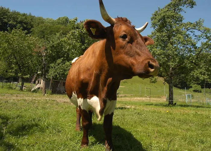 Otel Gasthofladen Schneeweiss
