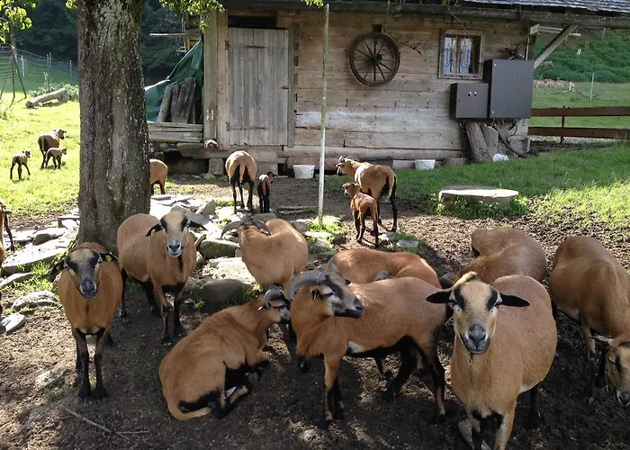 Otel Gasthofladen Schneeweiss Attersee