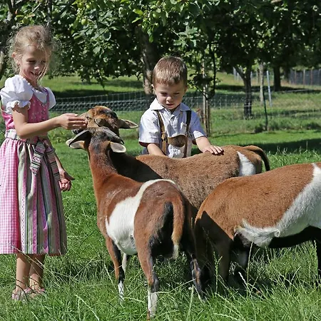 Gasthofladen Schneeweiss Hotel Attersee