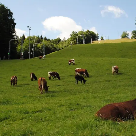 Gasthofladen Schneeweiss Hotel 3*