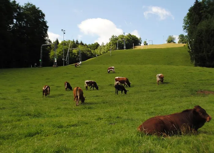 Gasthofladen Schneeweiss 호텔 3*